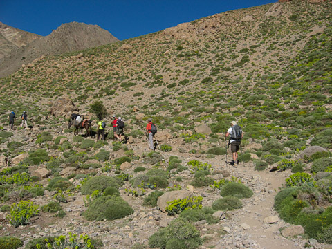 Montée avec les mules vers le col
