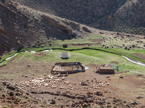 Campement de berger