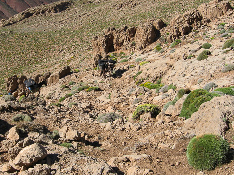 Paysage