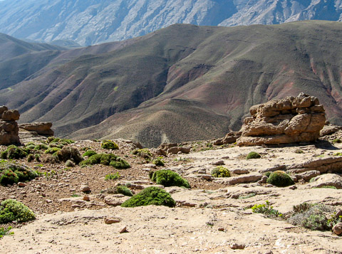 Paysage