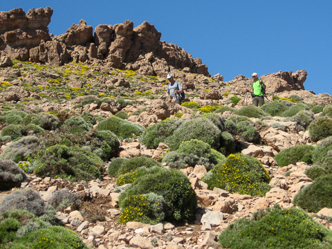 Descente du col