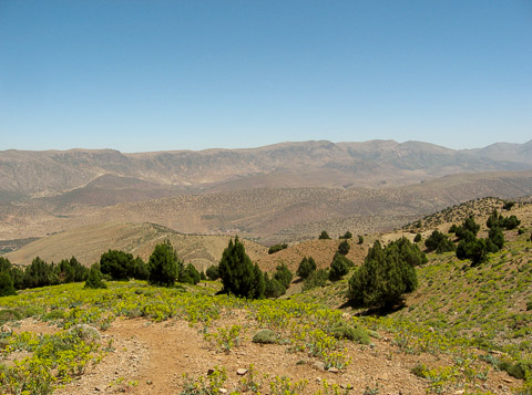 Paysage