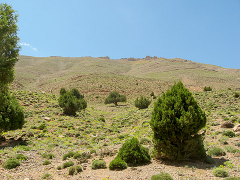 Paysage