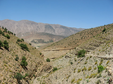 Paysage