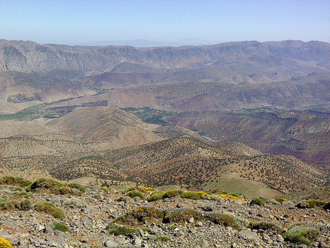 Paysage