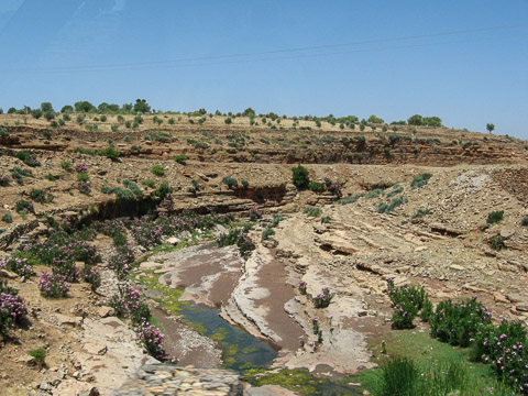 Retour vers Marrakech