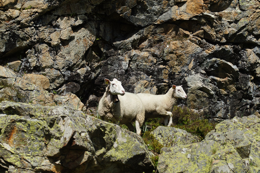 Rando autour des granges de coumély en partant du lac des Gloriettes