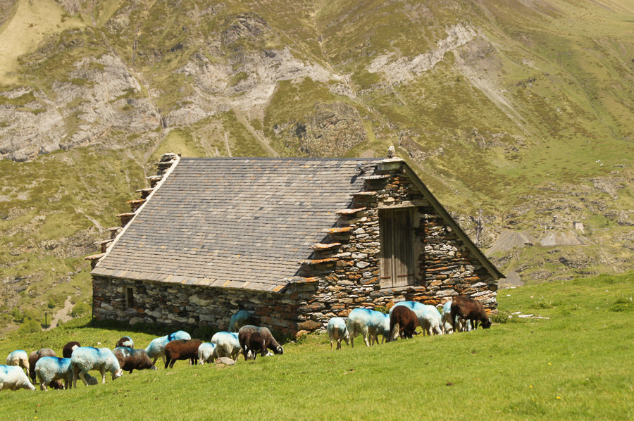 Rando autour des granges de coumély en partant du lac des Gloriettes