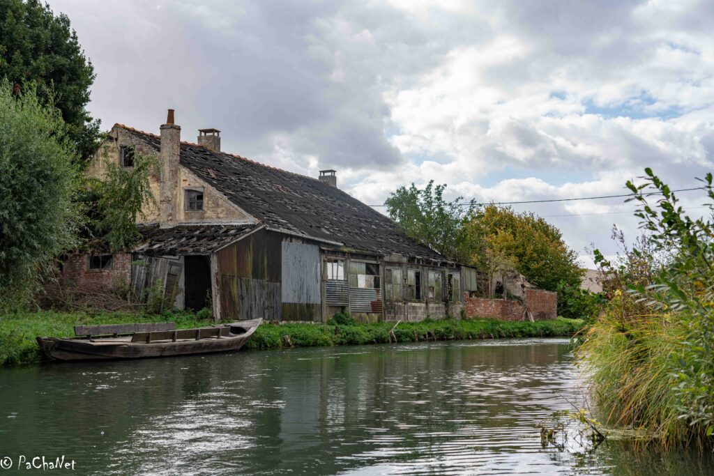Saint-Omer : Sur le Marais Audomarois