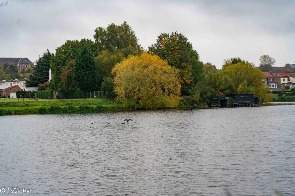 Arques - Etang de Malhove