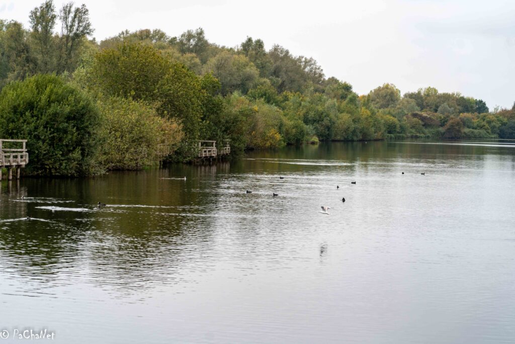 Arques - Etang de Malhove