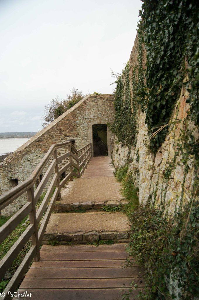 Saint-Vaast-la-Hougue - Fort de la Hougue