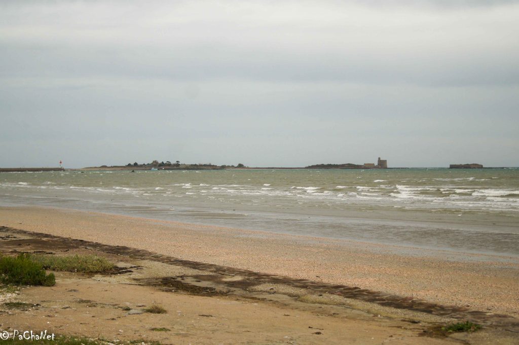 Saint-Vaast-la-Hougue