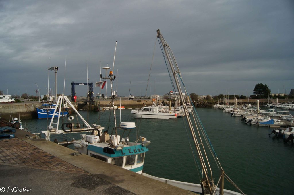 Saint-Vaast-la-Hougue - Le port