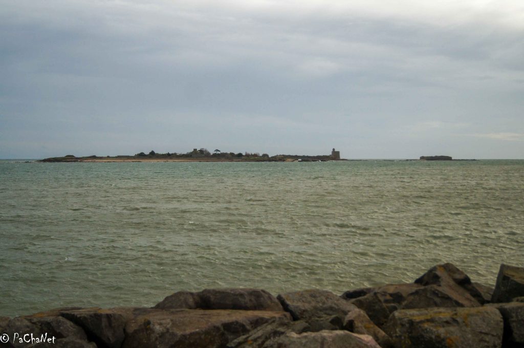 Saint-Vaast-la-Hougue - Vue sur l'ile de Tatihou