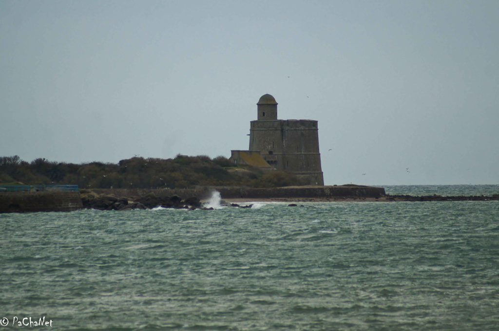 Saint-Vaast-la-Hougue - Vue sur l'ile de Tatihou