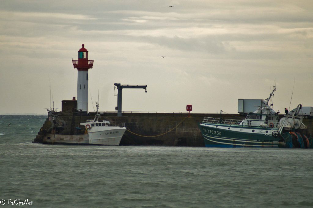 Saint-Vaast-la-Hougue - Le por