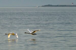 Charente Maritime - France - Fouras - Littoral